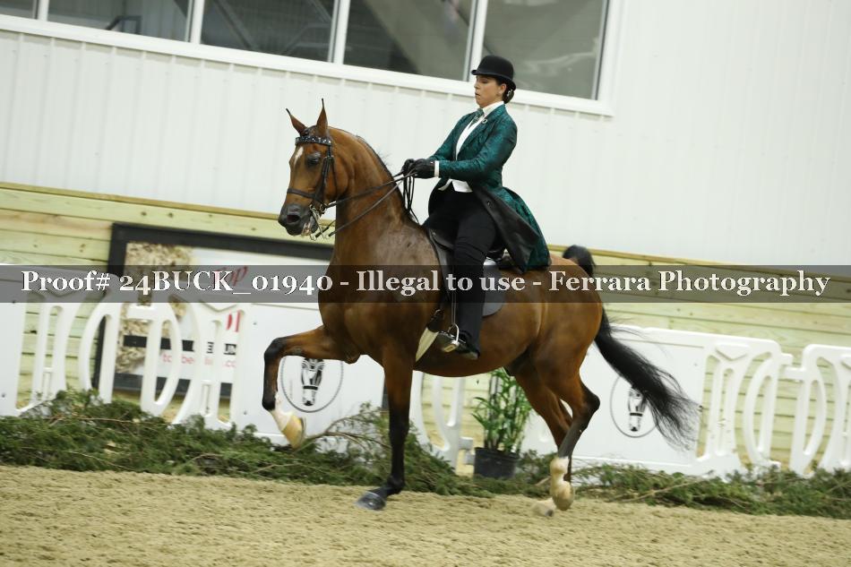 Proof 24BUCK_01940