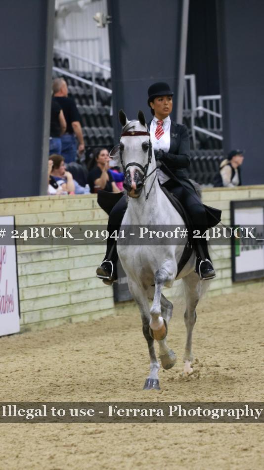 Proof 24BUCK_01941