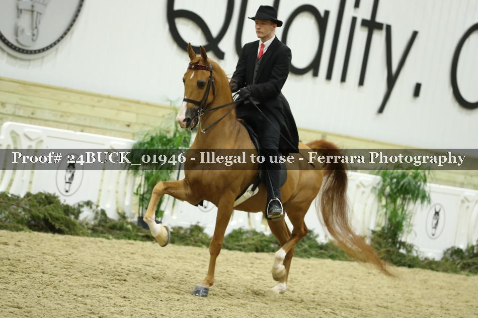 Proof 24BUCK_01946