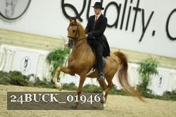 24BUCK_01946 proof