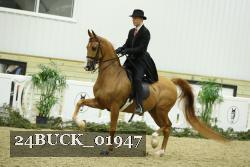 24BUCK_01947 proof