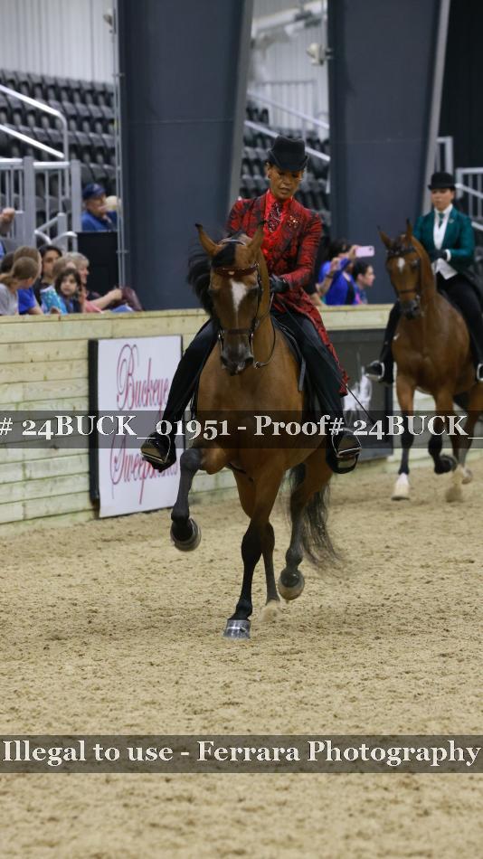 Proof 24BUCK_01951