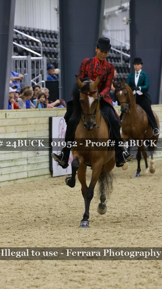 Proof 24BUCK_01952