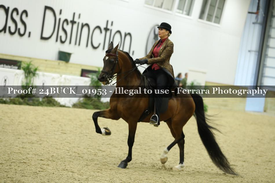 Proof 24BUCK_01953