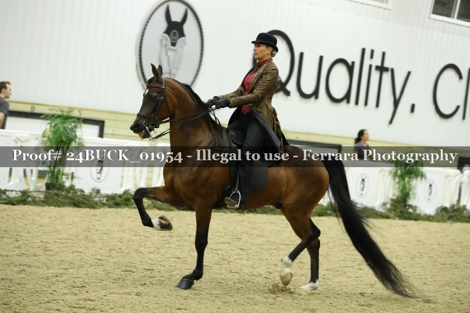 Proof 24BUCK_01954
