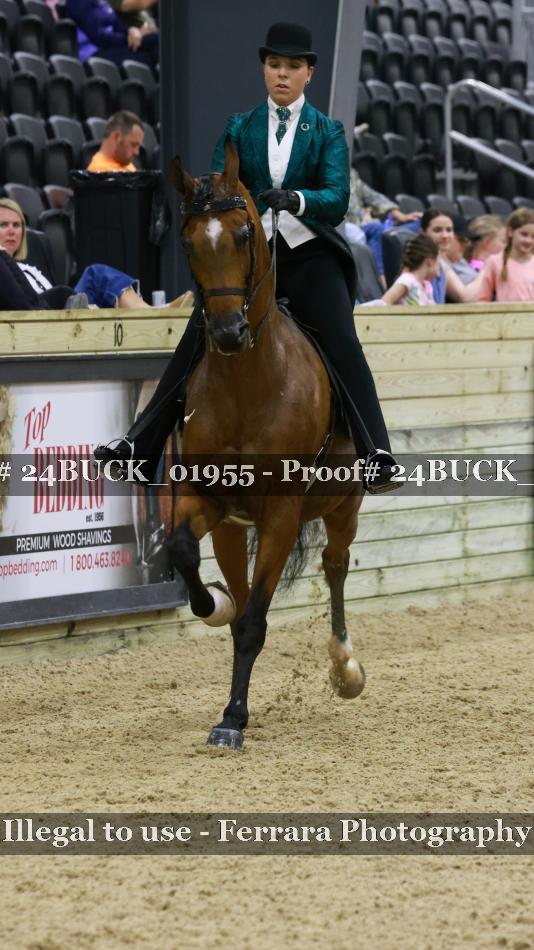 Proof 24BUCK_01955