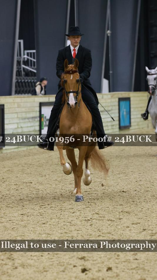 Proof 24BUCK_01956