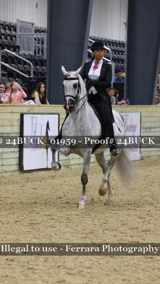 Proof 24BUCK_01959