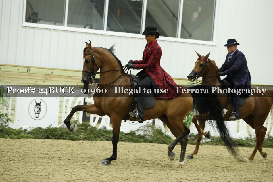 Proof 24BUCK_01960