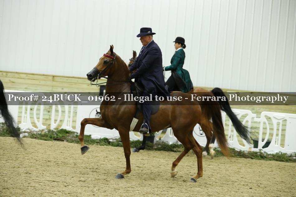 Proof 24BUCK_01962