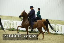 24BUCK_01962 proof