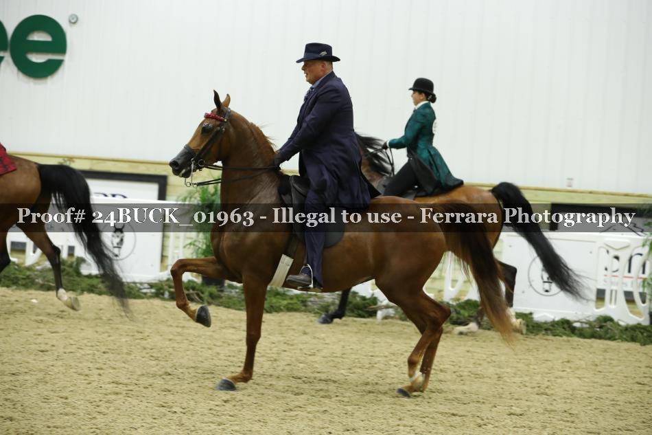 Proof 24BUCK_01963