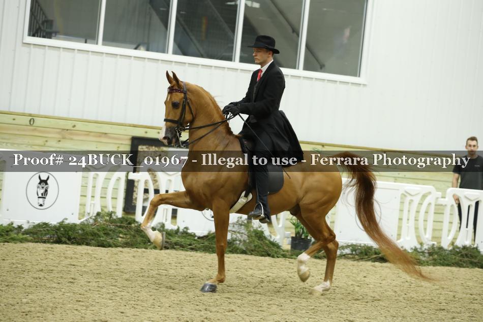 Proof 24BUCK_01967