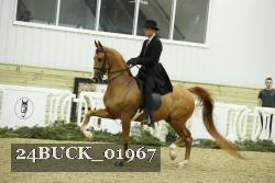 24BUCK_01967 proof