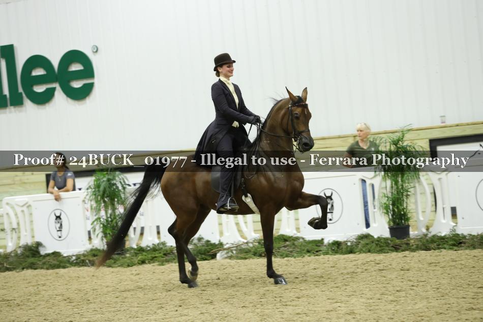 Proof 24BUCK_01977