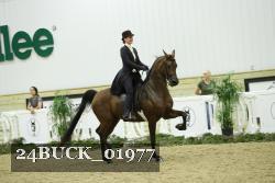 24BUCK_01977 proof