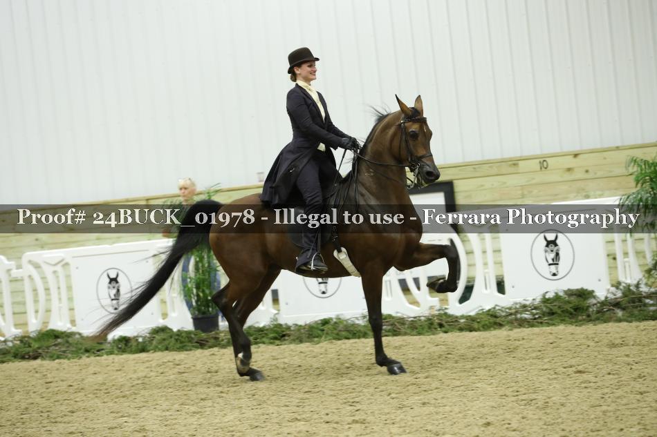 Proof 24BUCK_01978