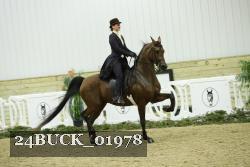 24BUCK_01978 proof