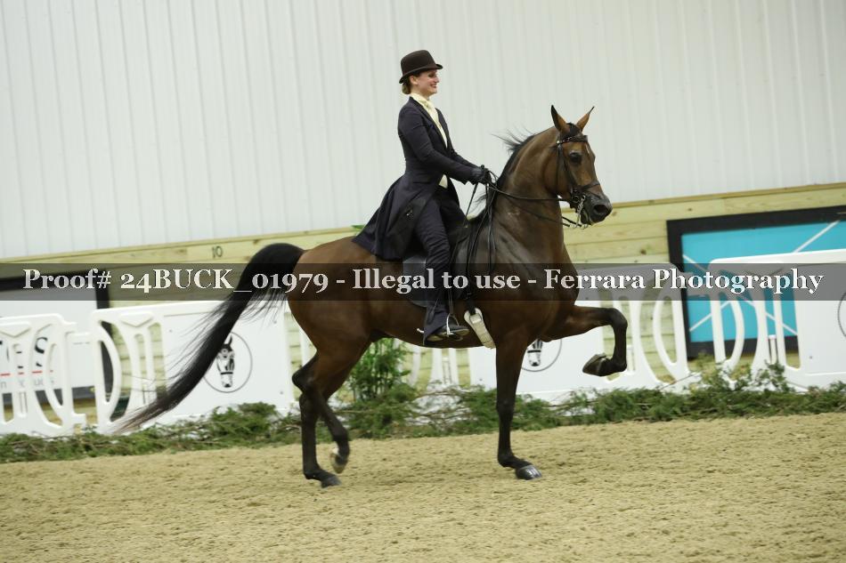 Proof 24BUCK_01979