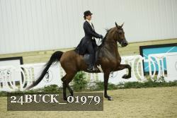 24BUCK_01979 proof