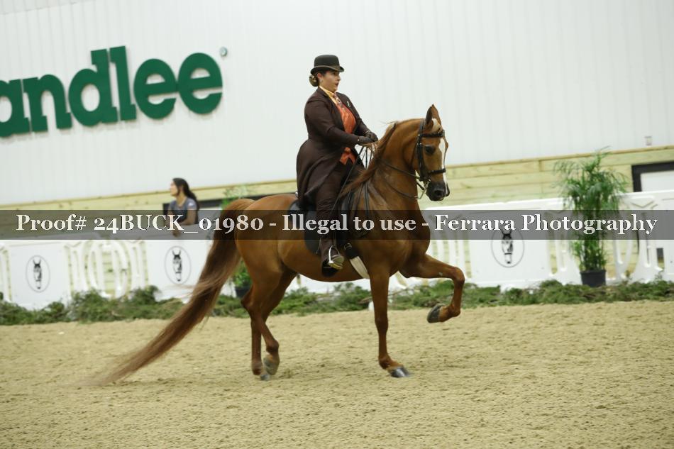 Proof 24BUCK_01980
