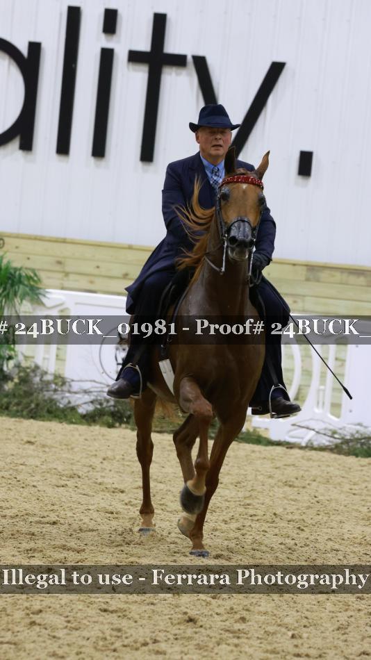 Proof 24BUCK_01981