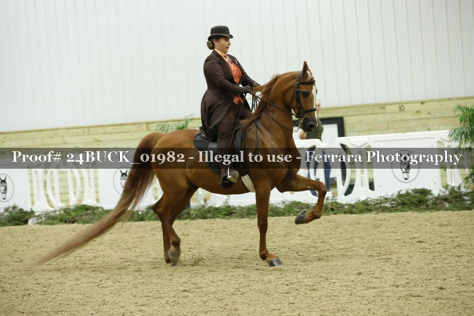 Proof 24BUCK_01982