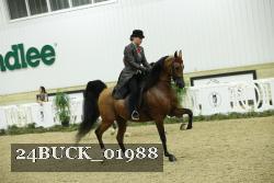 24BUCK_01988 proof