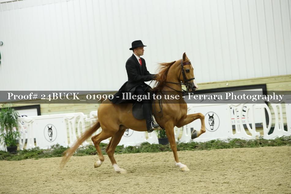 Proof 24BUCK_01990