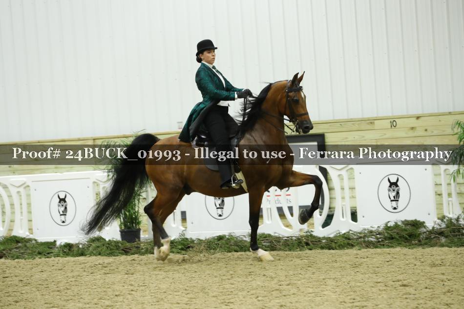 Proof 24BUCK_01993
