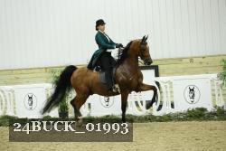 24BUCK_01993 proof