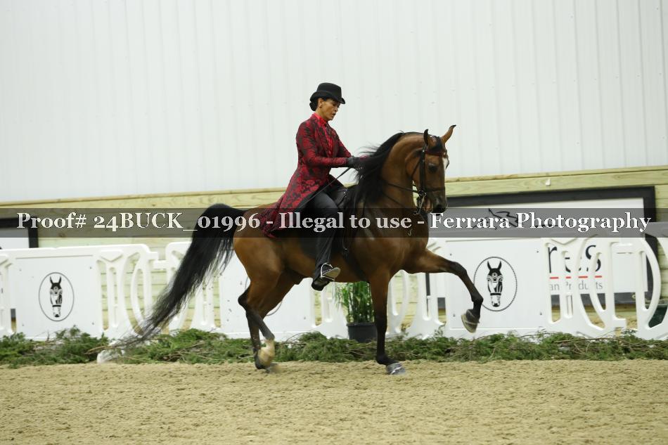 Proof 24BUCK_01996