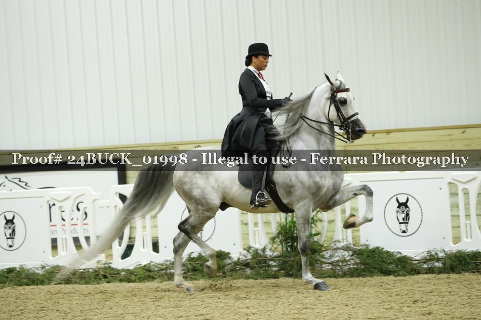 Proof 24BUCK_01998