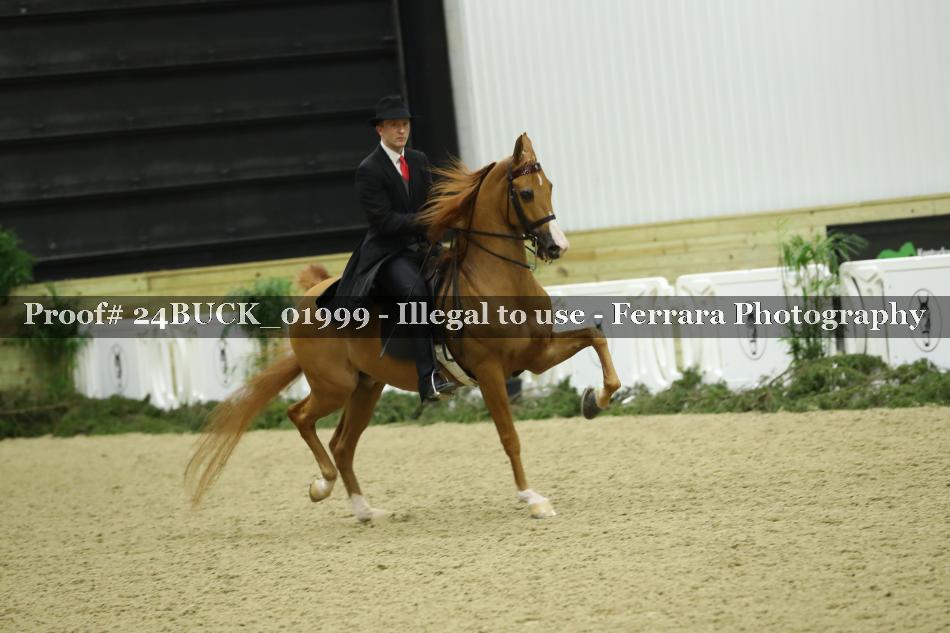 Proof 24BUCK_01999