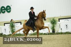 24BUCK_02001 proof