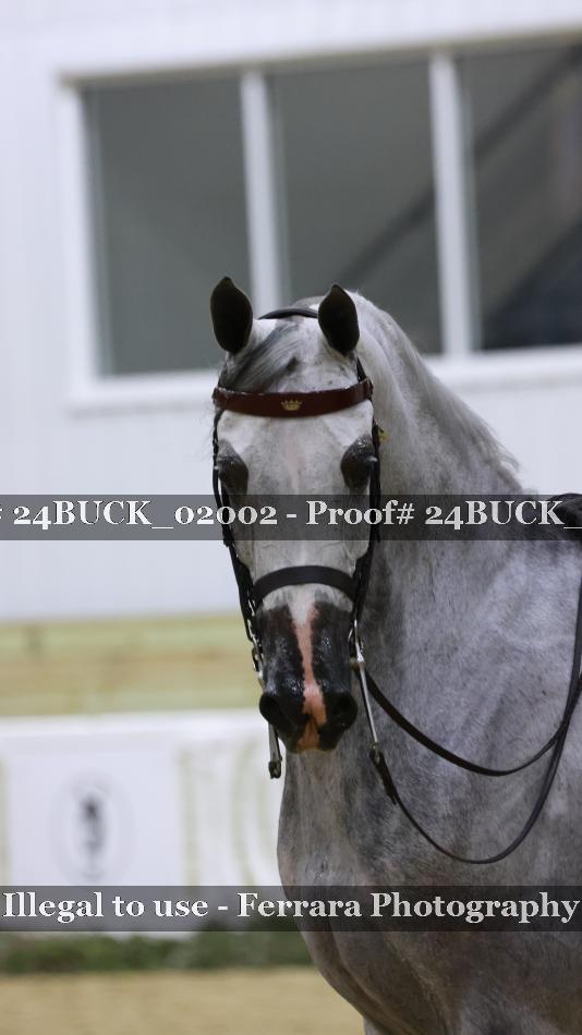 Proof 24BUCK_02002