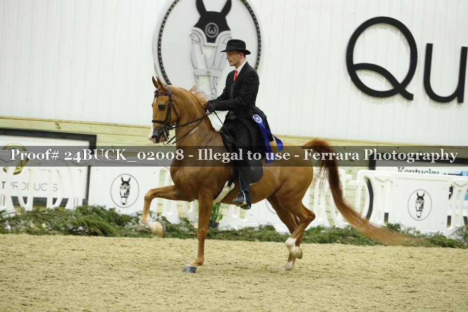 Proof 24BUCK_02008