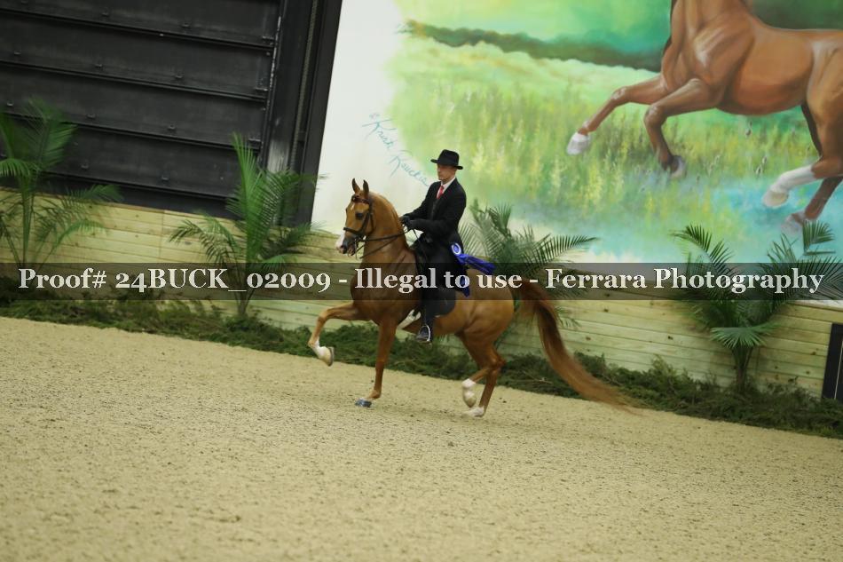 Proof 24BUCK_02009