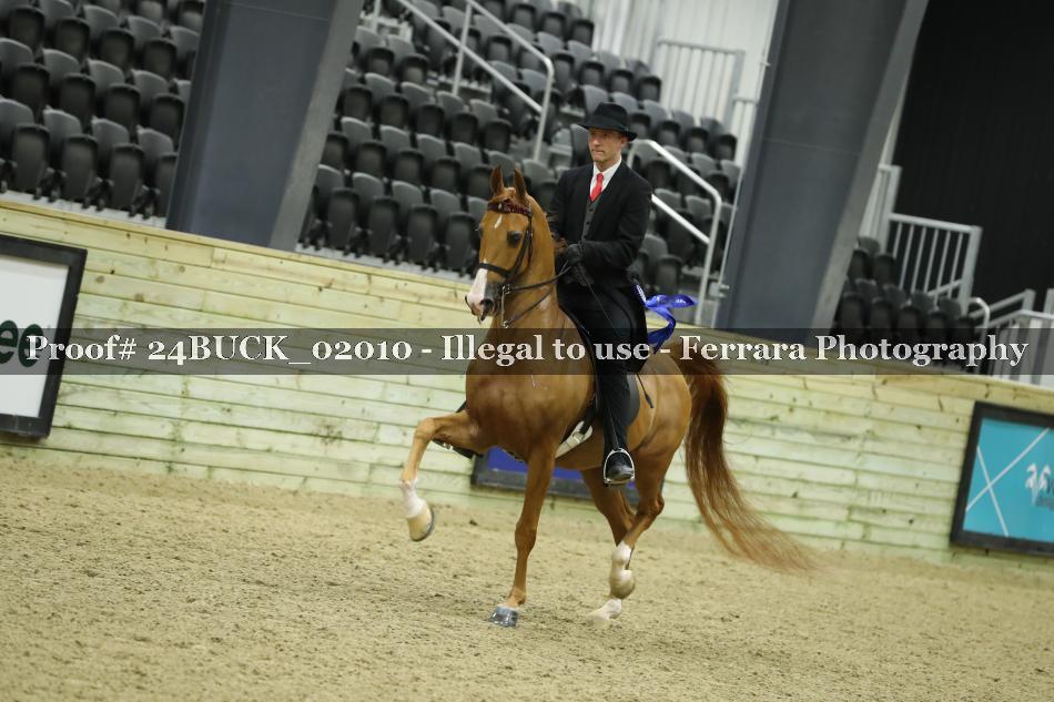 Proof 24BUCK_02010