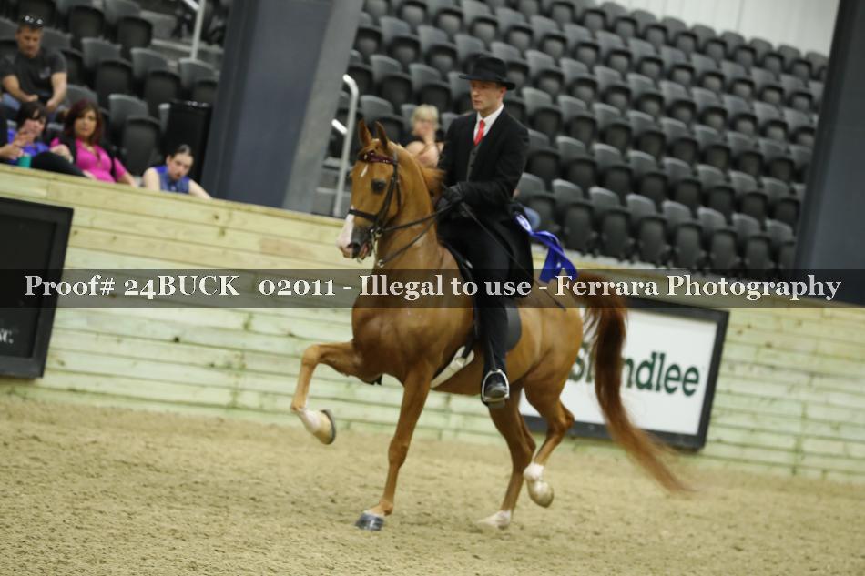 Proof 24BUCK_02011