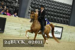 24BUCK_02011 proof