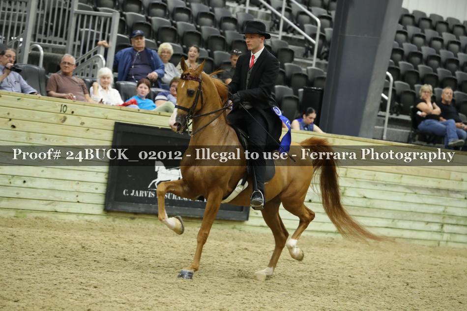 Proof 24BUCK_02012
