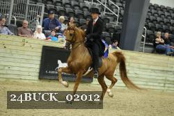 24BUCK_02012 proof