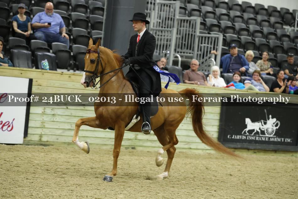 Proof 24BUCK_02013