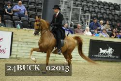 24BUCK_02013 proof