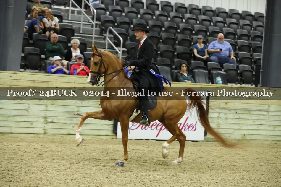 Proof 24BUCK_02014