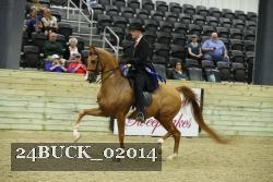 24BUCK_02014 proof