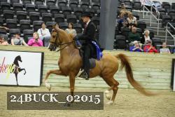 24BUCK_02015 proof