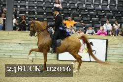 24BUCK_02016 proof