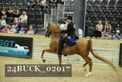 24BUCK_02017 proof
